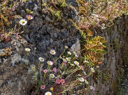  <a style='color: #fff;' href='/uploaded/photo/bord-de-la-sy-vre-nantaise-68330b98e9175.jpg'>(Télécharger)</a>