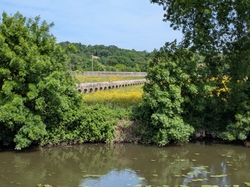  <a style='color: #fff;' href='/uploaded/photo/bord-de-la-sy-vre-nantaise-68330c40c82b2.jpg'>(Télécharger)</a>