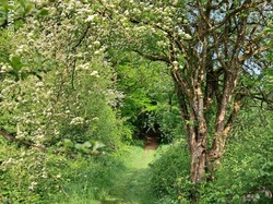 Famille ORHANT <a style='color: #fff;' href='/uploaded/photo/izy-bais-681efbc7d6e8f.jpg'>(Télécharger)</a>