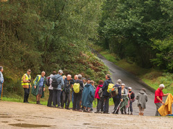 Daniel.H-06 <a style='color: #fff;' href='/uploaded/photo/la-fosse-arthour-66f5072884431.jpg'>(Télécharger)</a>