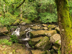 Daniel.H-05 <a style='color: #fff;' href='/uploaded/photo/la-fosse-arthour-66f5072ba7e9b.jpg'>(Télécharger)</a>