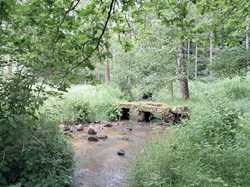  <a style='color: #fff;' href='/uploaded/photo/lassaay-669a2af1024d9.jpg'>(Télécharger)</a>