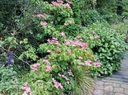  <a style='color: #fff;' href='/uploaded/photo/le-petit-bordeaux-6662bcf83405d.jpg'>(Télécharger)</a>