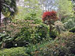  <a style='color: #fff;' href='/uploaded/photo/le-petit-bordeaux-6662bcf835c77.jpg'>(Télécharger)</a>