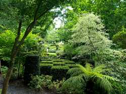  <a style='color: #fff;' href='/uploaded/photo/le-petit-bordeaux-6662bcf84848d.jpg'>(Télécharger)</a>