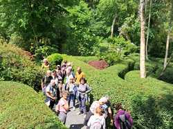  <a style='color: #fff;' href='/uploaded/photo/le-petit-bordeaux-6662bcf859499.jpg'>(Télécharger)</a>