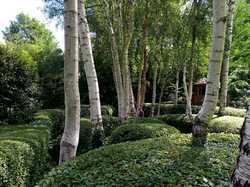  <a style='color: #fff;' href='/uploaded/photo/le-petit-bordeaux-6662bcf863bdc.jpg'>(Télécharger)</a>