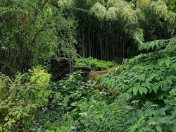  <a style='color: #fff;' href='/uploaded/photo/le-petit-bordeaux-6662bcfd4da41.jpg'>(Télécharger)</a>