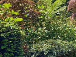  <a style='color: #fff;' href='/uploaded/photo/le-petit-bordeaux-6662bcfdbbb1b.jpg'>(Télécharger)</a>