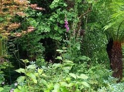  <a style='color: #fff;' href='/uploaded/photo/le-petit-bordeaux-6662bcfe1153f.jpg'>(Télécharger)</a>