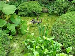  <a style='color: #fff;' href='/uploaded/photo/le-petit-bordeaux-6662c230a62da.jpg'>(Télécharger)</a>