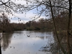  <a style='color: #fff;' href='/uploaded/photo/les-poumons-de-laval-694501a23620e.jpg'>(Télécharger)</a>