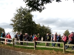 Thérèse002 <a style='color: #fff;' href='/uploaded/photo/meslay-du-maine-and-chy-taignes-6530da44b370c.jpg'>(Télécharger)</a>