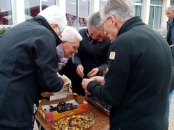 Thérèse004 <a style='color: #fff;' href='/uploaded/photo/meslay-du-maine-and-chy-taignes-6530da7c28c82.jpg'>(Télécharger)</a>