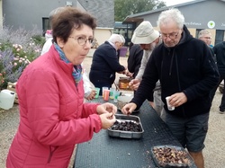 Thérèse008 <a style='color: #fff;' href='/uploaded/photo/meslay-du-maine-and-chy-taignes-6530da97c45c8.jpg'>(Télécharger)</a>