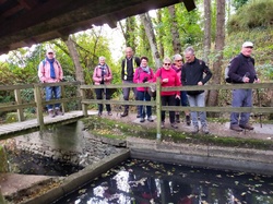 Marie-France G.-05 <a style='color: #fff;' href='/uploaded/photo/meslay-du-maine-and-chy-taignes-65337f9051068.jpg'>(Télécharger)</a>