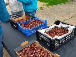 Marie-France G.-09 <a style='color: #fff;' href='/uploaded/photo/meslay-du-maine-and-chy-taignes-65337fc1dfbe2.jpg'>(Télécharger)</a>