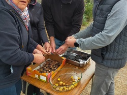 Marie-France G.-08 <a style='color: #fff;' href='/uploaded/photo/meslay-du-maine-and-chy-taignes-65337fc527748.jpg'>(Télécharger)</a>