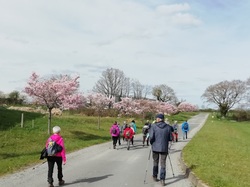 Lundi Thérèse 02 <a style='color: #fff;' href='/uploaded/photo/montigny-6602ee5918297.jpg'>(Télécharger)</a>