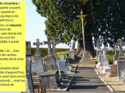  <a style='color: #fff;' href='/uploaded/photo/presentation-du-cimetiere-58989cc22bd5b.jpg'>(Télécharger)</a>