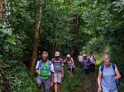 Marie-France H. <a style='color: #fff;' href='/uploaded/photo/pry-enpal-64ac5c48a24d2.jpg'>(Télécharger)</a>