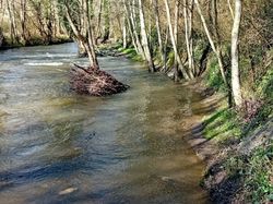  <a style='color: #fff;' href='/uploaded/photo/saulges-65f1749cdda51.jpg'>(Télécharger)</a>