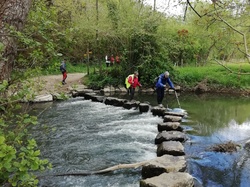Lundi 22-04-2024 -Jean-Louis O. - 01 <a style='color: #fff;' href='/uploaded/photo/saulges-6627b462c12ad.jpg'>(Télécharger)</a>