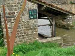  <a style='color: #fff;' href='/uploaded/photo/saulges-666801830dda1.jpg'>(Télécharger)</a>