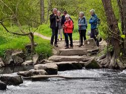  <a style='color: #fff;' href='/uploaded/photo/saulges-66680183428e2.jpg'>(Télécharger)</a>