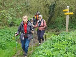  <a style='color: #fff;' href='/uploaded/photo/saulges-6668018359092.jpg'>(Télécharger)</a>