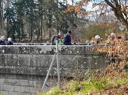  <a style='color: #fff;' href='/uploaded/photo/st-berthevin-663b65857b495.jpg'>(Télécharger)</a>