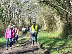  <a style='color: #fff;' href='/uploaded/photo/st-berthevin-6668062f4135c.jpg'>(Télécharger)</a>