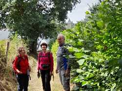  <a style='color: #fff;' href='/uploaded/photo/st-denis-d-anjou-6879f11e15561.jpg'>(Télécharger)</a>