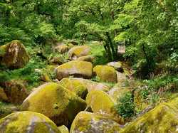 Claude.P-05 <a style='color: #fff;' href='/uploaded/photo/sy-jour-mont-d-arry-e-664b7d256f402.jpg'>(Télécharger)</a>