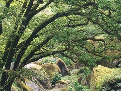 Brigitte.E-06 <a style='color: #fff;' href='/uploaded/photo/sy-jour-mont-d-arry-e-664d9e829d701.jpg'>(Télécharger)</a>