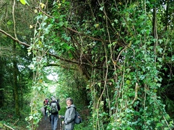 Brigitte.E-02 <a style='color: #fff;' href='/uploaded/photo/sy-jour-mont-d-arry-e-664d9e82e1d23.jpg'>(Télécharger)</a>