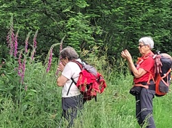 Jean-Louis O.-012 <a style='color: #fff;' href='/uploaded/photo/sy-jour-mont-d-arry-e-665191964279b.jpg'>(Télécharger)</a>