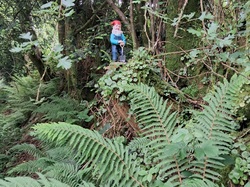 Jean-Louis O.-011 <a style='color: #fff;' href='/uploaded/photo/sy-jour-mont-d-arry-e-66519198cf680.jpg'>(Télécharger)</a>