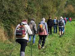 Thérèse O.-01 <a style='color: #fff;' href='/uploaded/photo/vaiges-670cca11e8d0f.jpg'>(Télécharger)</a>