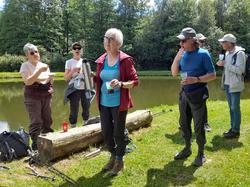  <a style='color: #fff;' href='/uploaded/photo/villepail-6667fc34729c4.jpg'>(Télécharger)</a>