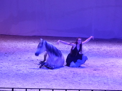  <a style='color: #fff;' href='/uploaded/photo/visite-du-haras-du-pin-61373294c41f7.jpg'>(Télécharger)</a>