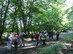  <a style='color: #fff;' href='/uploaded/photo/visite-du-haras-du-pin-617036480d4b8.jpg'>(Télécharger)</a>