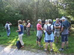  <a style='color: #fff;' href='/uploaded/photo/visite-du-haras-du-pin-617036bb37c3a.jpg'>(Télécharger)</a>