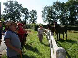  <a style='color: #fff;' href='/uploaded/photo/visite-du-haras-du-pin-6170377cb9139.jpg'>(Télécharger)</a>