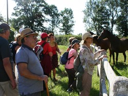  <a style='color: #fff;' href='/uploaded/photo/visite-du-haras-du-pin-61703794716e3.jpg'>(Télécharger)</a>