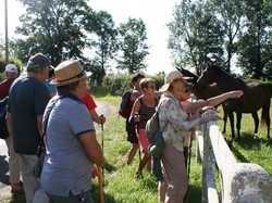  <a style='color: #fff;' href='/uploaded/photo/visite-du-haras-du-pin-617037ef33409.jpg'>(Télécharger)</a>