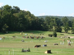  <a style='color: #fff;' href='/uploaded/photo/visite-du-haras-du-pin-6170383aa6bcd.jpg'>(Télécharger)</a>